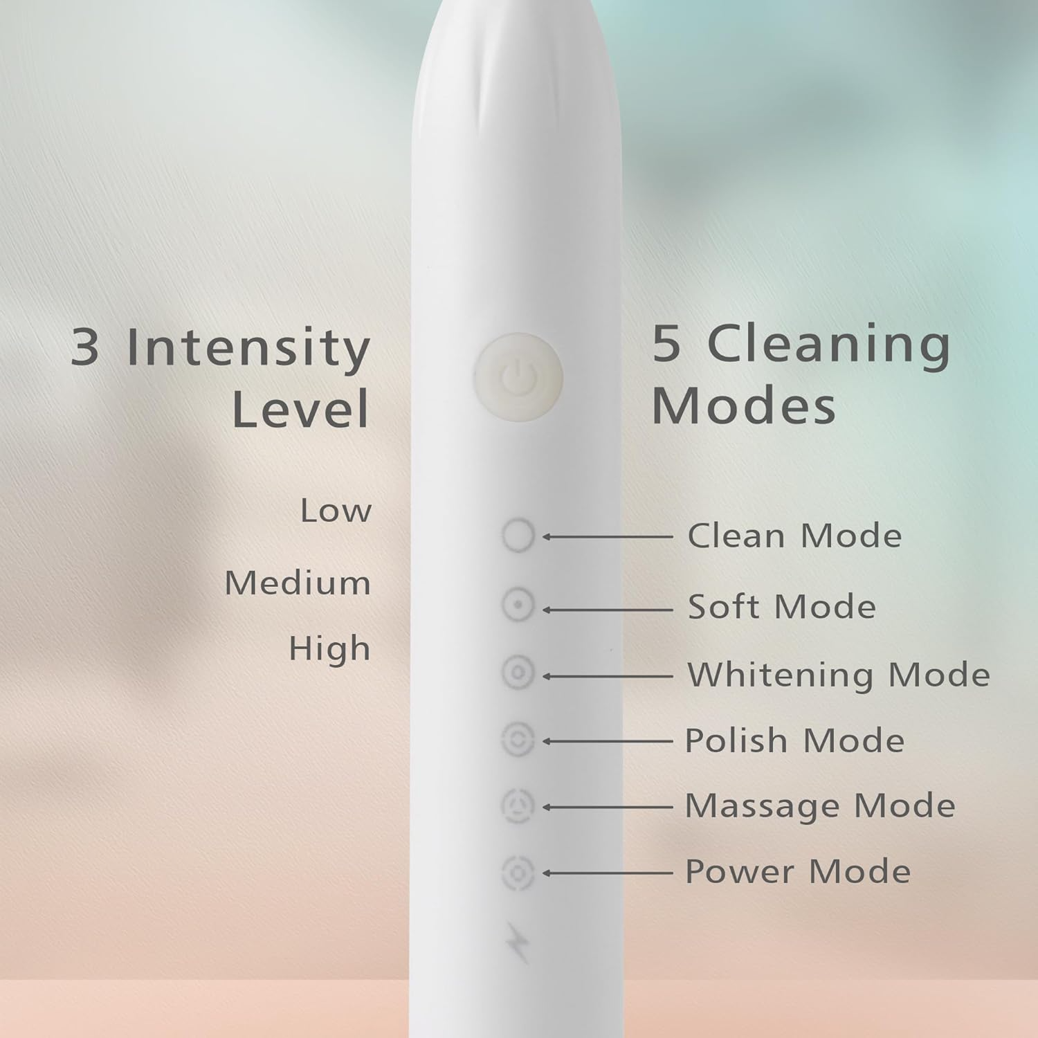 Sonic Electric Toothbrush